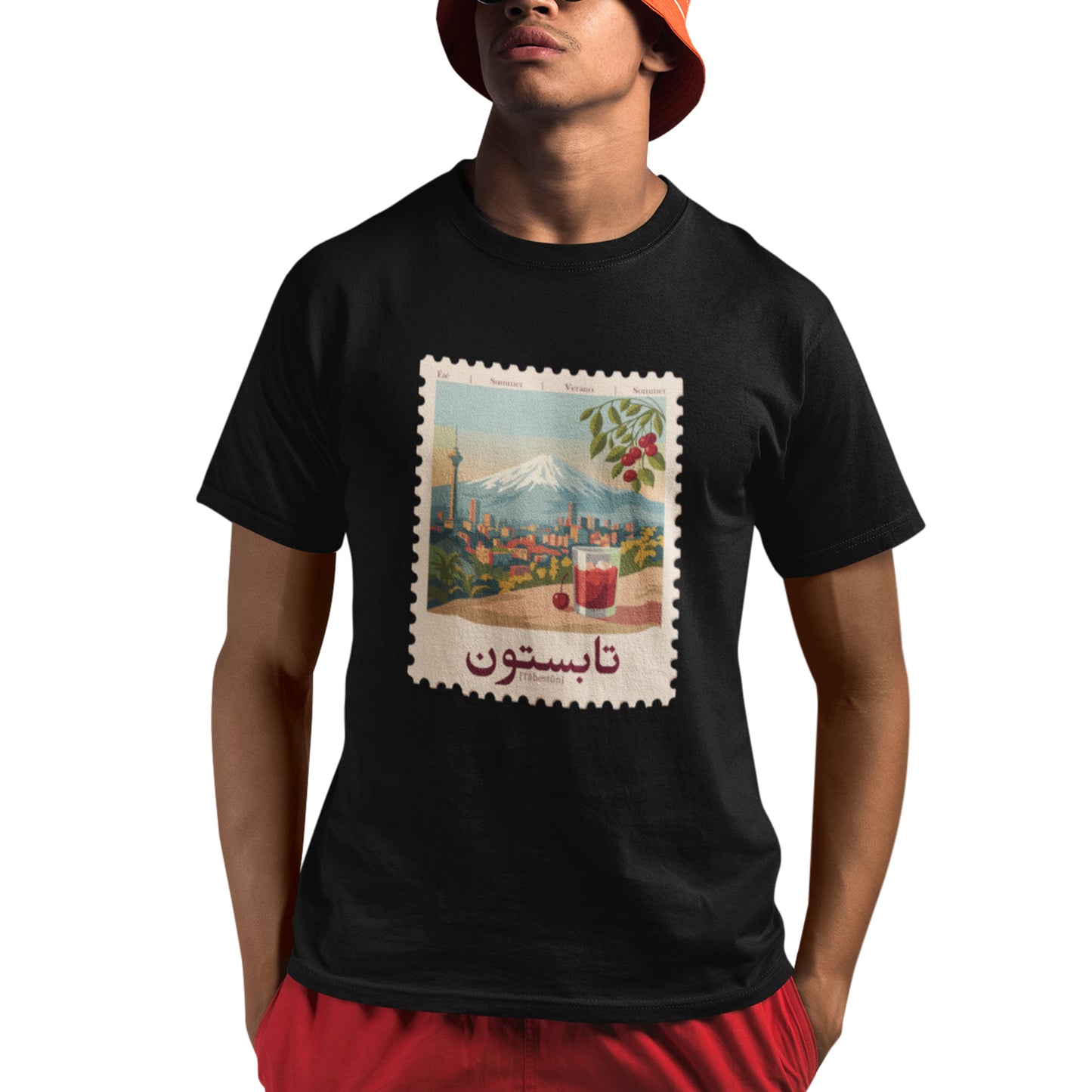 Tabestoon T-Shirt, Persian Typography Shirt, Farsi Graphic Tee, Iranian Art Shirt, Minimalist Persian Design, تابستون